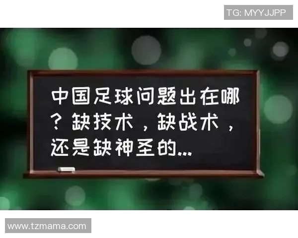 深圳足球队与上海足球队赛后分析实力对比与战术探讨