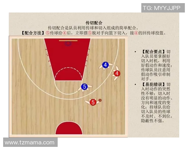 深入分析成都篮球队独特的防守策略与战术执行