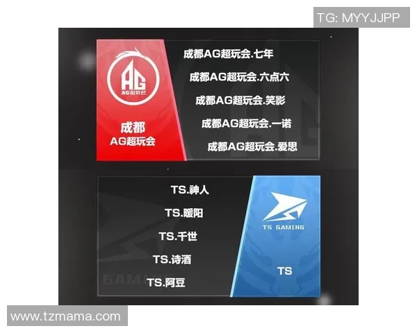 成都与武汉排球队对决赛后分析速度表现的全面复盘