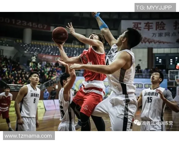 西安篮球队速度表现数据分析揭示球队竞技状态与战术调整的关键因素