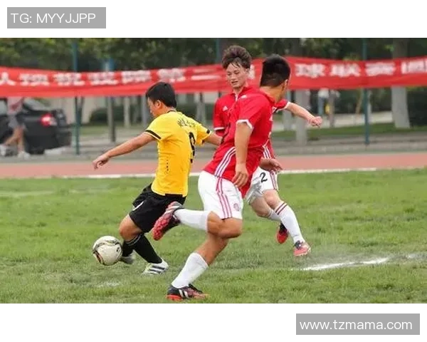 武汉足球队的节奏与激情:探索城市足球文化的崛起与未来发展